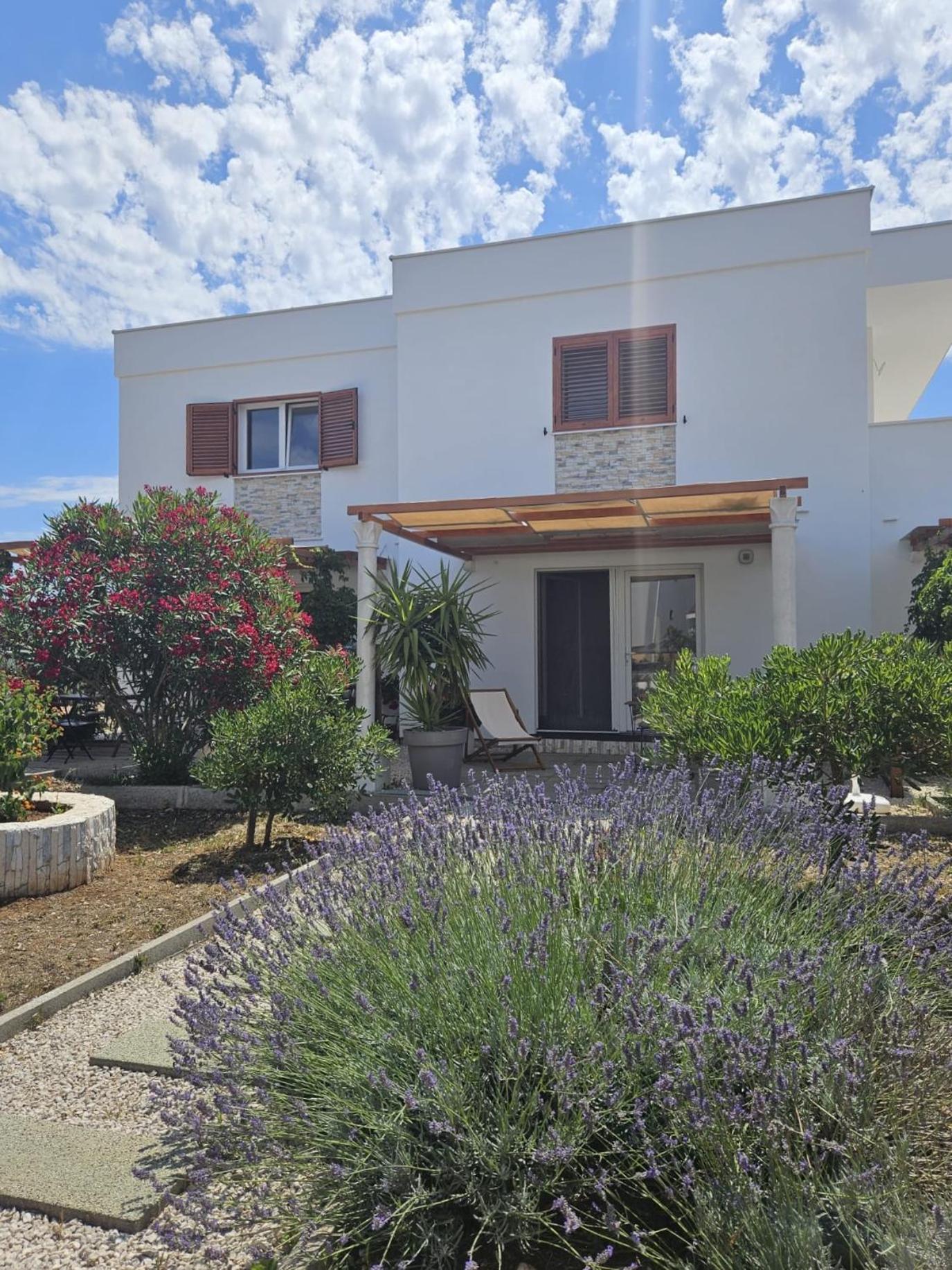 Apartments Cvijet Mora סרסר מראה חיצוני תמונה
