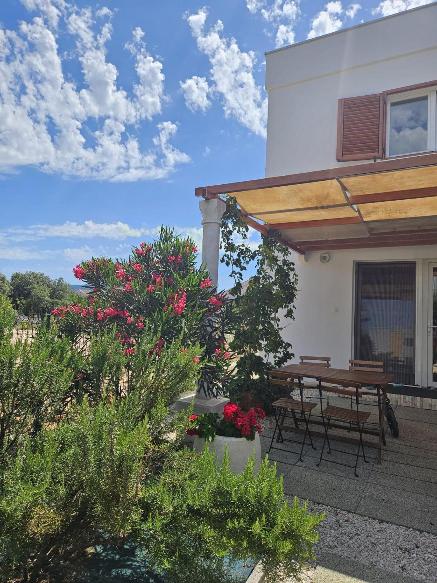 Apartments Cvijet Mora סרסר מראה חיצוני תמונה